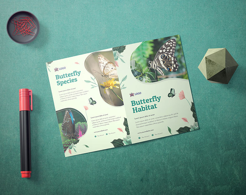 نموذج فلاير اعلاني